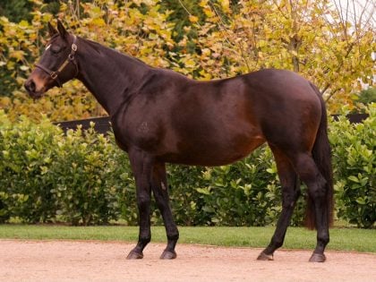 Lot 907: Grand Daughter