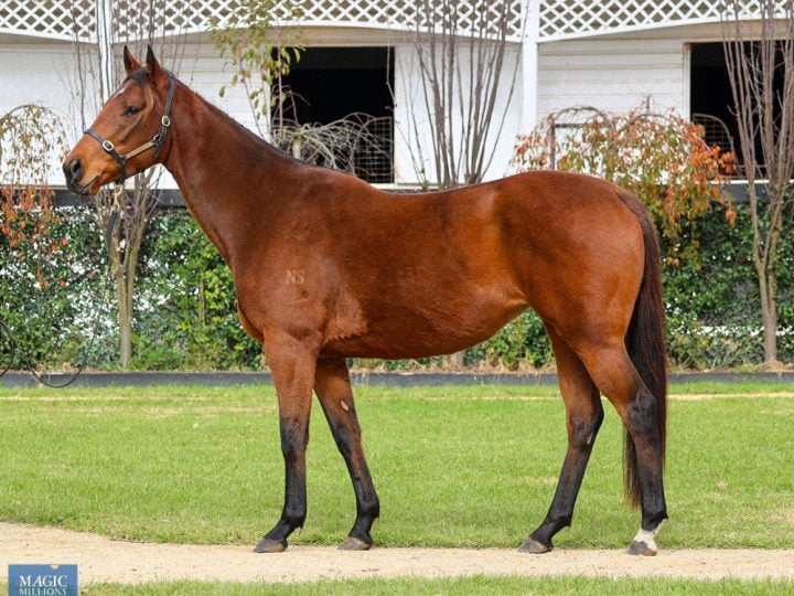 Lot 1059: River Tamar (NZ)