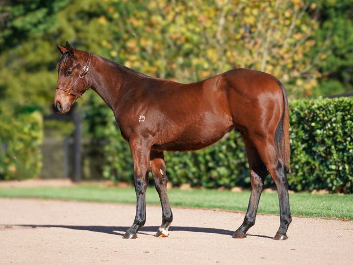 Lot 192