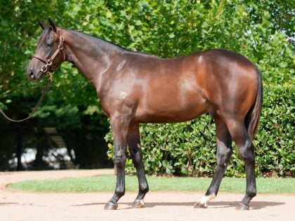 Lot 134