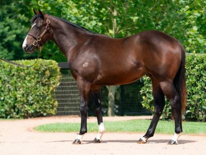 Lot 25