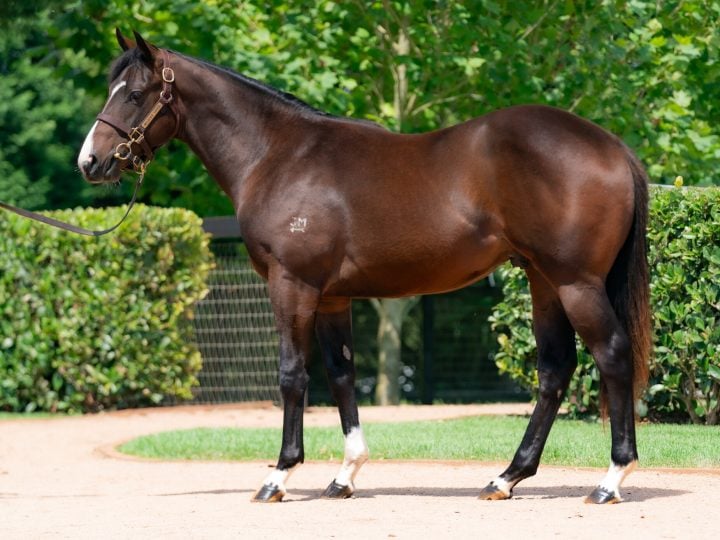 Lot 25